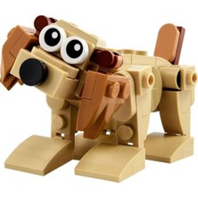 Ceylan Adam Creator 30666 Gift Animals Yapım Seti