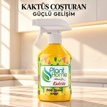 Plant Home Power Mix En Iyi Kaktüs Besini - Kaktüslerde Güçlü Gövde ve Kök Yapan Premium Seri