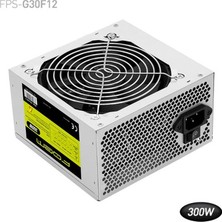 Foem 300W (FPS-G30F12)