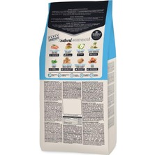 Ceylan Adam Tavuklu Yavru Kedi Maması, 1,5 kg
