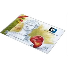 Alex Schoeller A.SPR.RSM.120.50 50X70 120 gr 20 Li Sipralli Resim Defteri, Standart - 071