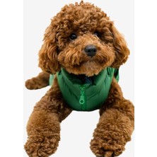 Salya Store Köpek Kıyafeti, Puffer Su Geçirmez Köpek Montu, Küçük ve Orta Irk Köpek Kıyafeti (Yeşil, X-Large)