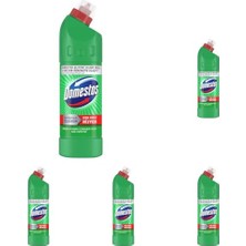 Ceylan Adam Yoğun Kıvamlı Çamaşır Suyu Maksimum Hijyen Dağ Esintisi 750 ml 5 Paketi, 750 ml x 5, Dağ Esintisi Çamaşır Suyu