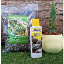 Tropikal Kaktüs Besini 2'li Set, 225 ml Sıvı Gübre + 3 Lt Kaktüs Sukulent Toprağı
