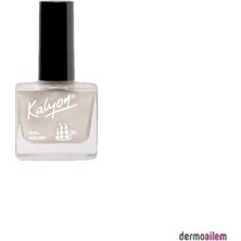 Ceylan Adam Nail Polish NO:203 11 ml