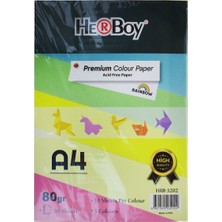 Herboy Fotokopi Kağıt 5 Renk A4 50.ad Karışık HRB-3202 1 Adet