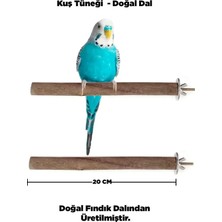 Ceylan Adam 20 cm Gerçek Fındık Dalından Doğal Ahşap Kuş Tüneği