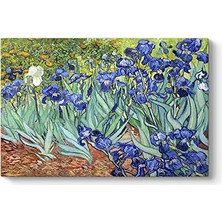 Ceylan Adam Vincent Van Gogh Iris Süseni Çiçeği Kanvas Tablosu 140 x 100