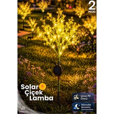 Edewatt Dekoratif Çiçek Görünümlü Solar LED Lamba Güneş Enerjili Su Geçirmez Bahçe Aydınlatma