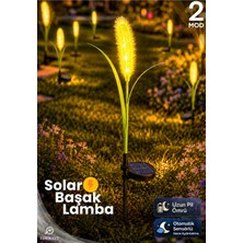 Edewatt Dekoratif Başak Görünümlü SOLAR LED Lamba Güneş Enerjili Su Geçirmez Bahçe Aydınlatma