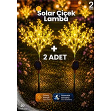 Edewatt 2 Adet Dekoratif Çiçek Görünümlü Solar LED Lamba Güneş Enerjili Su Geçirmez Bahçe Aydınlatma