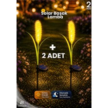 Edewatt 2 ADET Dekoratif Başak Görünümlü SOLAR LED Lamba Güneş Enerjili Su Geçirmez Bahçe Aydınlatma