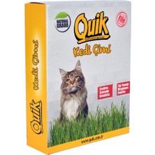 Quik Gerçek Topraklı Kedi Çimi