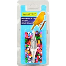 Kanaryapo Renkli Kanarya Bileziği
