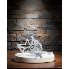 Elivora Yıldız Ay Perde LED Işık Prizden Çalışan 126 LED Uczzzayyıldızperdeledd-3