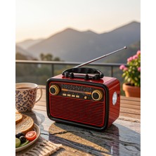 Hcc Trend Müzik Kutusu Bluetooth Bağlantılı El Fenerli Radyo Uucznostaljikr2-1