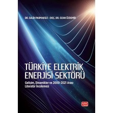 Happy Trend Elektrik Enerjisi Sektörü: Gelişim, Dinamikler ve 2000-2021 Arası Literatür Incelemesi