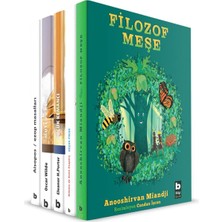 Için Sanat ve Felsefe Dizisi - 5 Kitap Takım