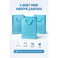 Owersea 3 Adet Puantiyeli Mini Hediye Çantası 12X17 cm Ipli Karton Hediyelik Parti Çantası