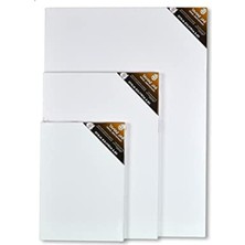 Şanal 60 x 60 cm Profesyonel Tuval Arkadan Zımbalı