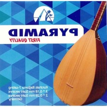 Şanal Premium Kalite Kısa Sap Bağlama Teli, 0.18 mm Kalınlık