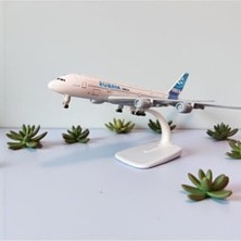 Şanal Airbus A380 Metal Maket Uçak ile Koleksiyon Için Hediye