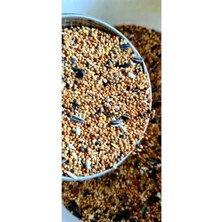 Şanal 1 kg Forpus Papağanı Yemi - Besleyici ve Lezzetli