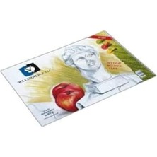 Şanal 50X70 cm 120 gr 20 Li Resim Defteri, Spiralli Tasarım