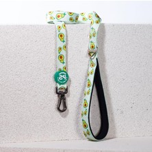 Şanal Kedi ve Köpek Için Uzatma Kayışı, Sevk ve Gezdirme Tasması