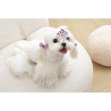 Şanal Glam Köpekler Için Aksesuar Toka Mor