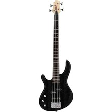 Şanal Siyah 4 Telli Bas Gitar, Profesyonel Müzik Deneyimi