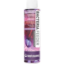 Şanal Bacteria Feeder - Nitrate & Phosphate Warrior 1000ML