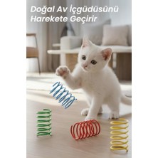 Şanal 8’li Kedi Yay Oyuncak Seti – Bpa Içermeyen Renkli Spiral Plastik Yay, Yavru Kedi Için Eğlenceli