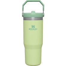 TeknoKapsül Stanley Iceflow Flip Straw Tumbler Pipetli Termos Su Şişesi 0.89 Litre - Citron | Paslanmaz Çelik