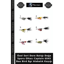 Terrien Özel Seri Dere Balığı Doğa Sporu Oltacı Captain 6045 Bee Bird 8gr Alabalık Kaşığı