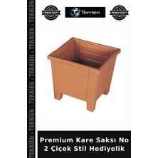 Terrien Premium Kare Saksı No 2 Çiçek Stil Hediyelik