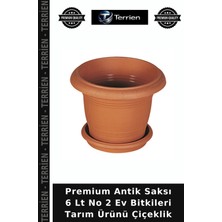 Terrien Premium Antik Saksı 6 Lt No 2 Ev Bitkileri Tarım Ürünü Çiçeklik