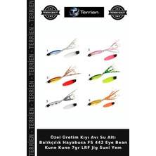 Terrien Özel Üretim Kıyı Avı Su Altı Balıkçılık Hayabusa Fs 442 Eye Bean Kune Kune 7gr Lrf Jig Suni Yem