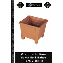 Terrien Özel Üretim Kare Saksı No 3 Bahçe Tarh Çiçeklik