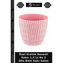Terrien Özel Üretim Desenli Saksı 1,5 Lt No 2 Ofis Bitki Kabı Salon
