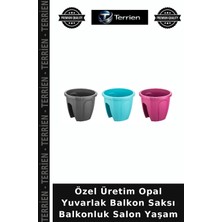 Terrien Özel Üretim Opal Yuvarlak Balkon Saksı Balkonluk Salon Yaşam