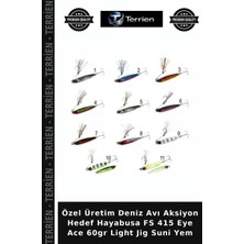 Terrien Özel Üretim Deniz Avı Aksiyon Hedef Hayabusa Fs 415 Eye Ace 60GR Light Jig Suni Yem