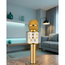 Aparim Taşınabilir Bluetooth Karaoke Mikrofon Uuczkaraokemikrofonn1-1