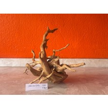 Hobihanem Yati Kökü (NO:330) [30X17X26H]