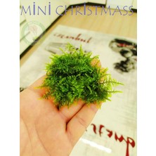 Hobihanem Moss (Mini Chrismas)