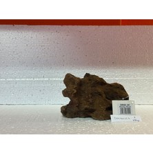 Hobihanem Mangrow Kökü (No:1) [20X10X12H]