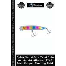 Terrien Delux Serisi Olta Yemi Spin Avı Avcılık Albastar 9246 Feed Popper Floating Balık