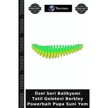 Terrien Özel Seri Balikyemi Tatil Goletevi Berkley Powerbait Pupa Suni Yem