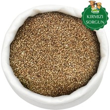 Kırmızı Sorgum 2 kg - Süpürge Tohumu - Kümes Hayvanları, Kuşu ve Kanarya Yemi