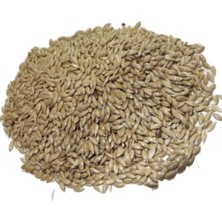 Aspur Sade Kanarya Yemi (Elenmiş, Temizlenmiş) 500 gr (Özel Vakumlu Ambalaj)